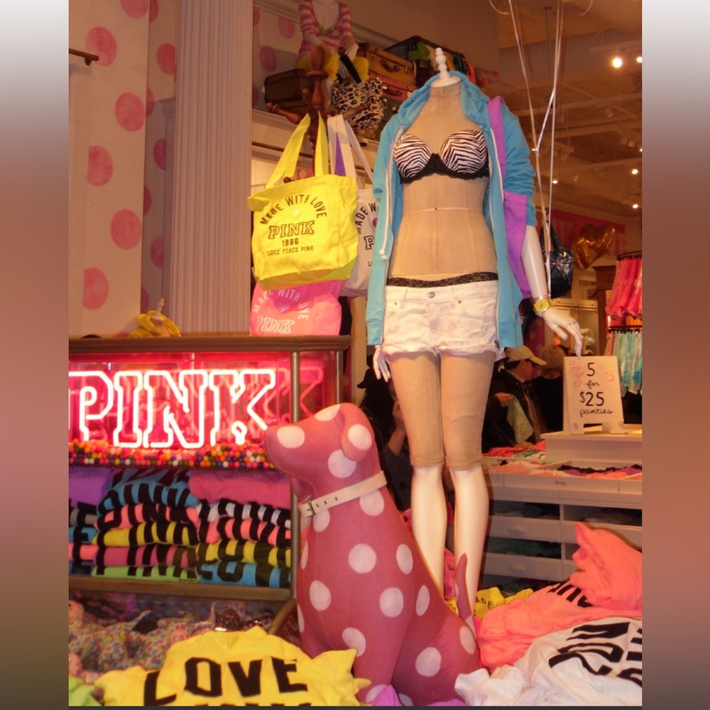 Love Pink Leopard Print T-Shirt Demi Bra EUC 34B - Picture 11 of 12